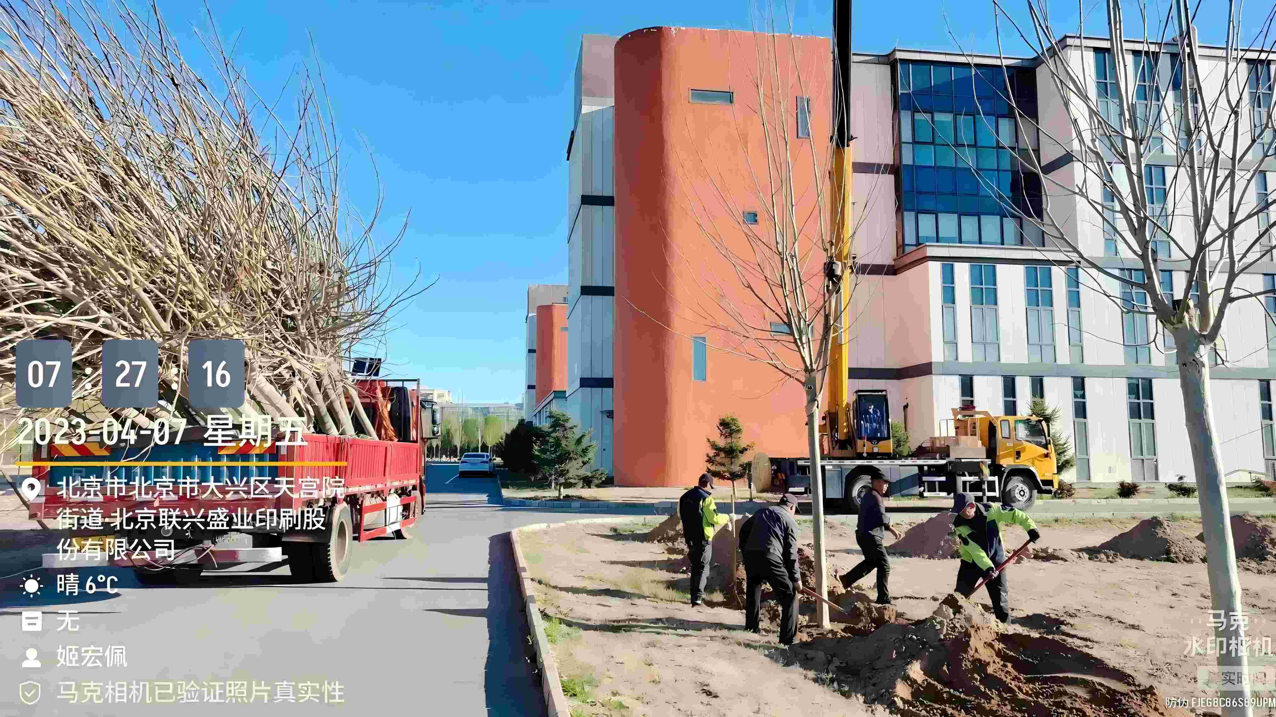 北京春季植樹(shù)最好的時(shí)間是什么時(shí)候？
